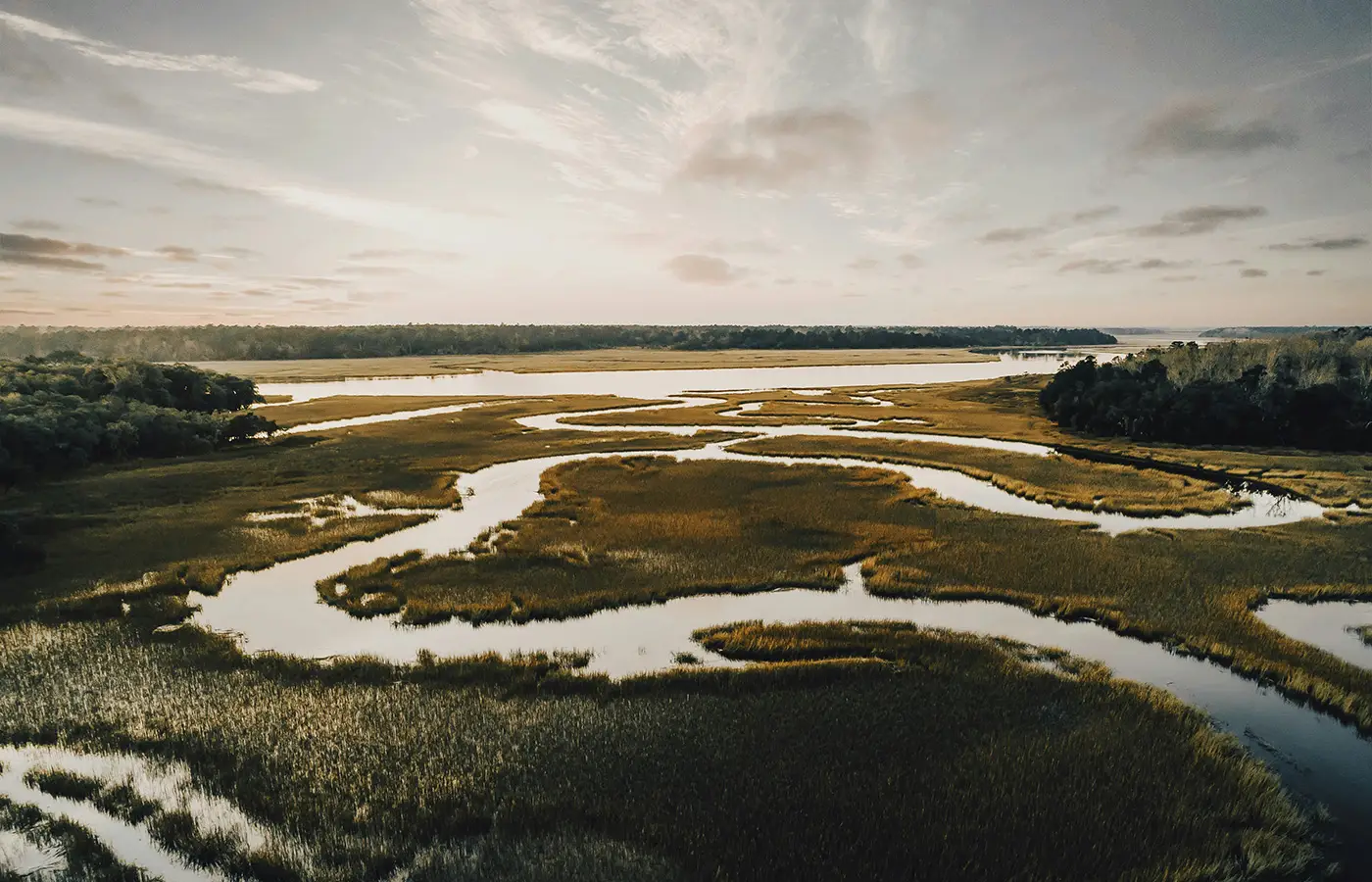Marsh grass and tidal creek in the South Carolina Lowcountry